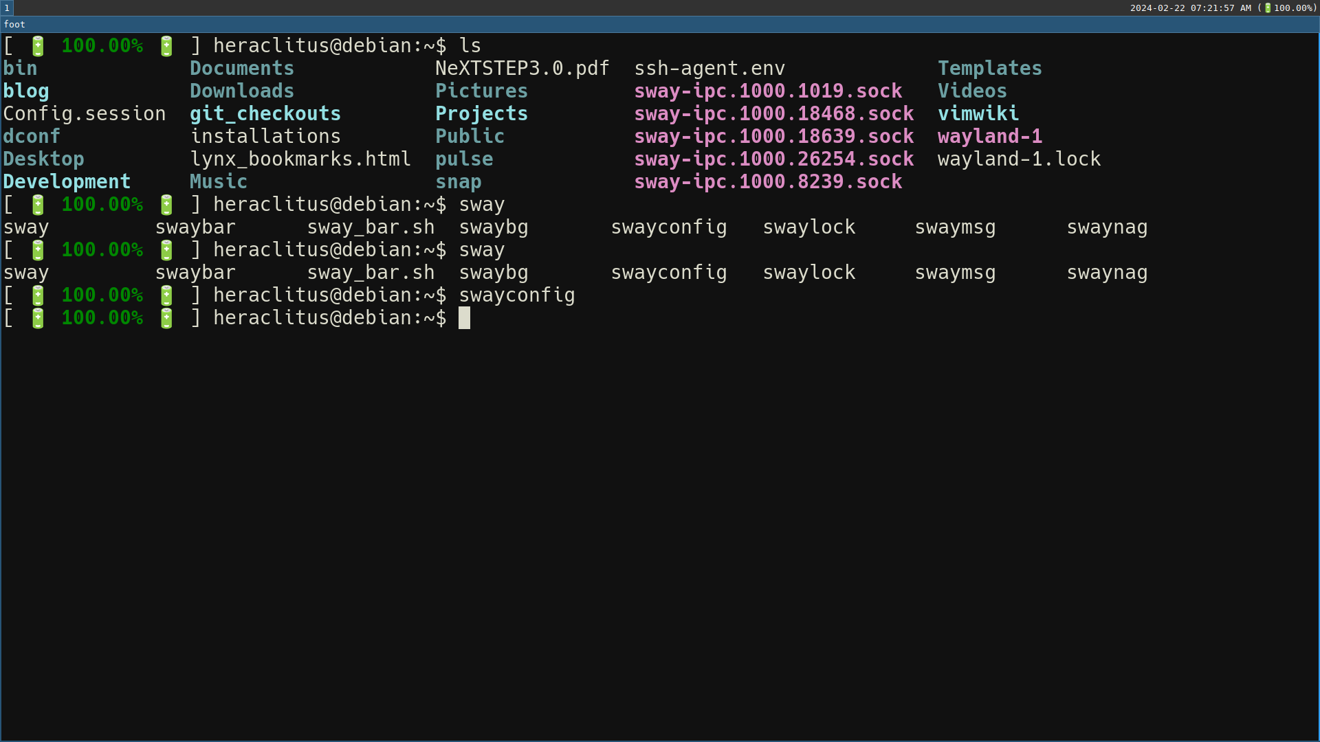 Graphical mode using the &ldquo;foot&rdquo; terminal emulator to show what my default experience looks like