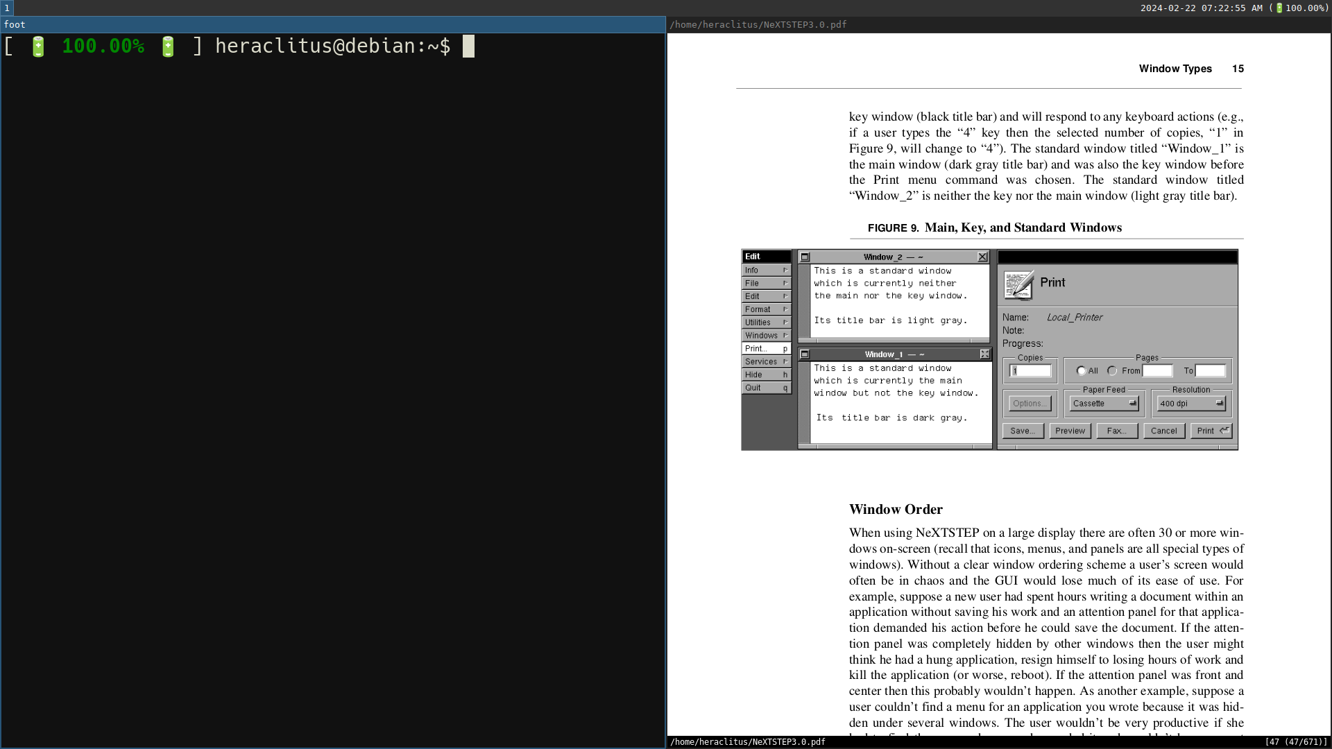 &ldquo;Foot&rdquo; emulator on the left; &ldquo;Zathura&rdquo; on the right